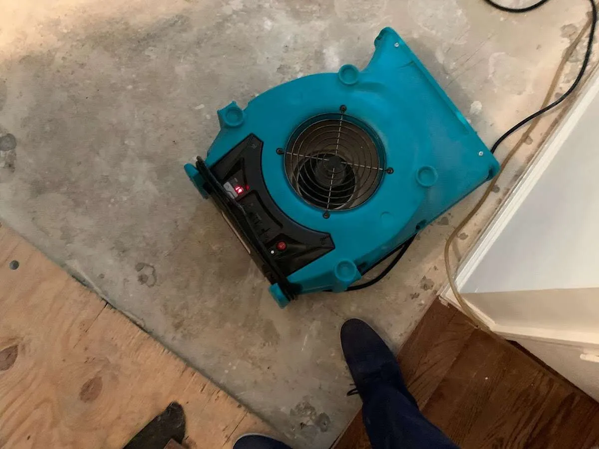 Air mover drying subfloor during Leak Detection & Repair in Lower Windsor